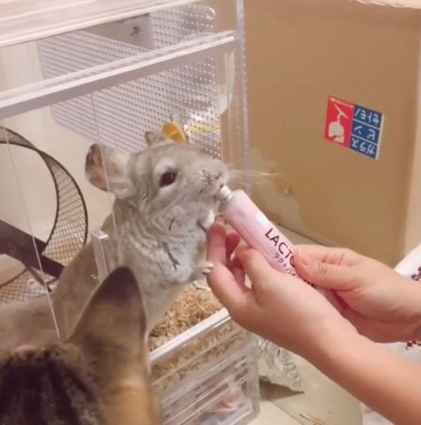 おやつタイムに全員大集合