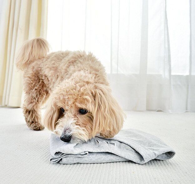 この洋服は安全かな？