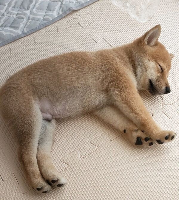 お迎え直後のけんたくん