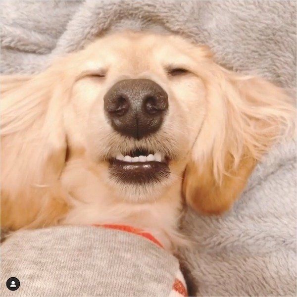 起きてるか寝てるかわからないアムちゃん