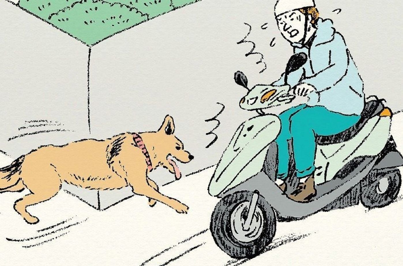 ホントにあった犬の事件簿 放し飼いの犬が飛び出し 原付自動車と接触事故 気になる判決は いぬのきもちweb Magazine ホントにあった犬の事件簿 放し飼いの犬が飛び出し 原付自動車と接触事故 気になる判決は いぬのきもちweb Magazine