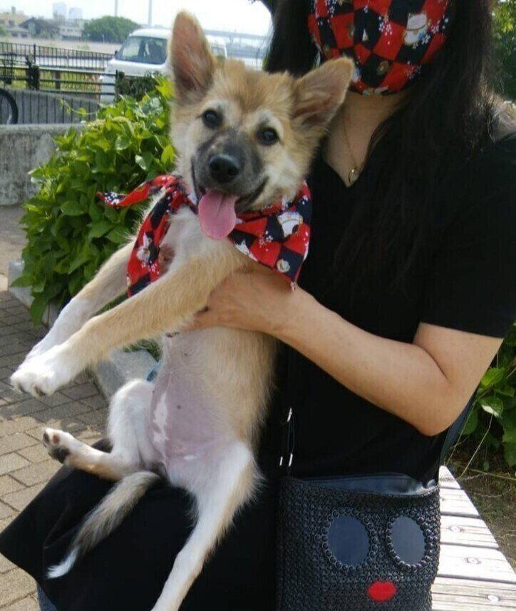 生後4カ月頃のさくらちゃん