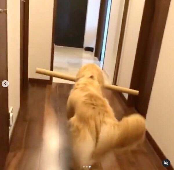 紙管を運ぶマリンjrちゃん