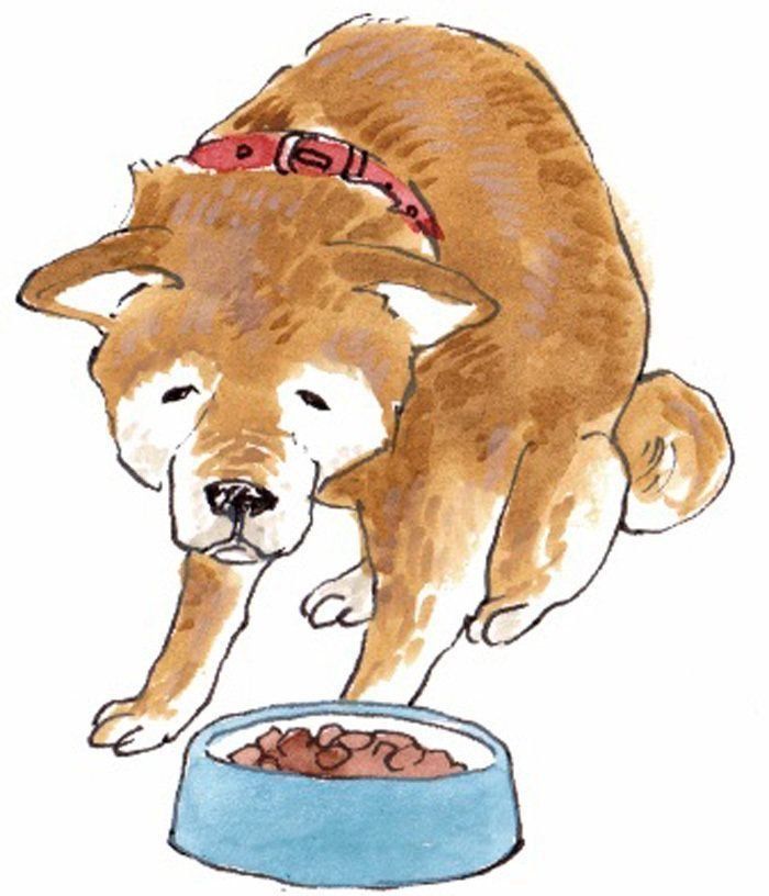 イラスト／フジマツミキ