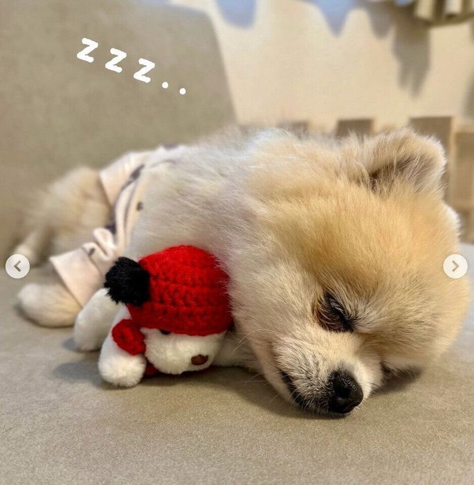気持ちよさそうに眠るみくちゃん