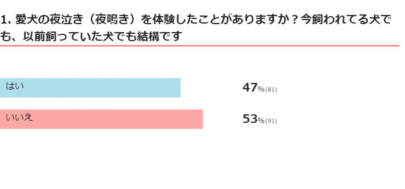 獣医師監修 老犬の夜泣き 夜鳴き 原因と対策 予防 実際の体験談も いぬのきもちweb Magazine 獣医師監修 老犬の夜泣き 夜鳴き 原因と対策 予防 実際の体験談も いぬのきもちweb Magazine
