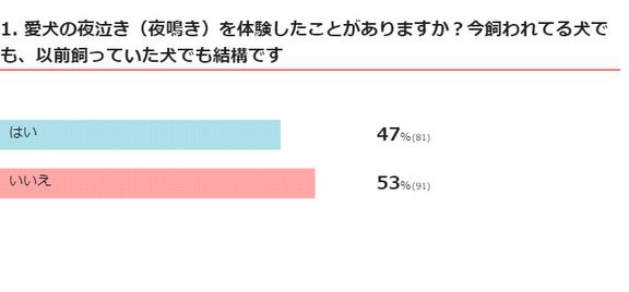 愛犬の夜泣きを体験したことがありますか?