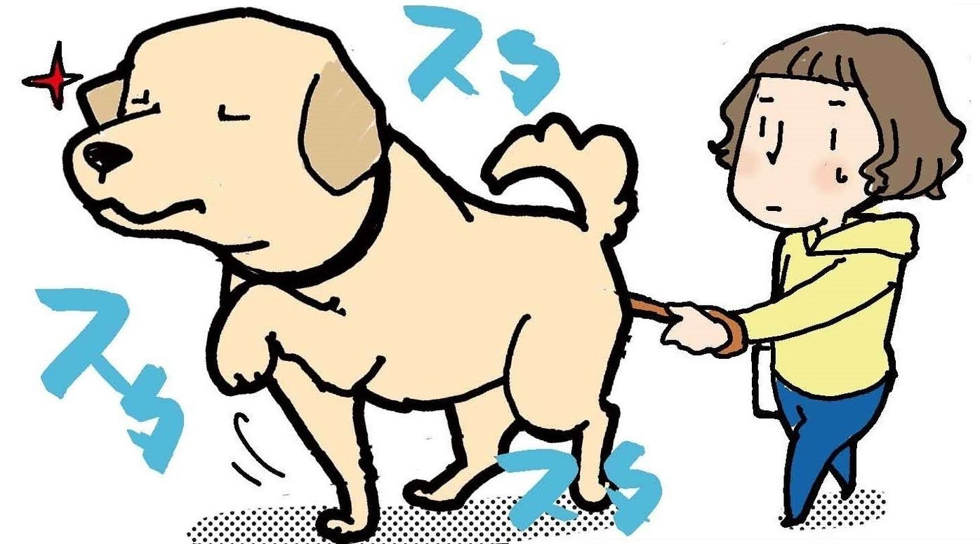 Jvbvhj6v8m2flm Jvbvhj6v8m2flm