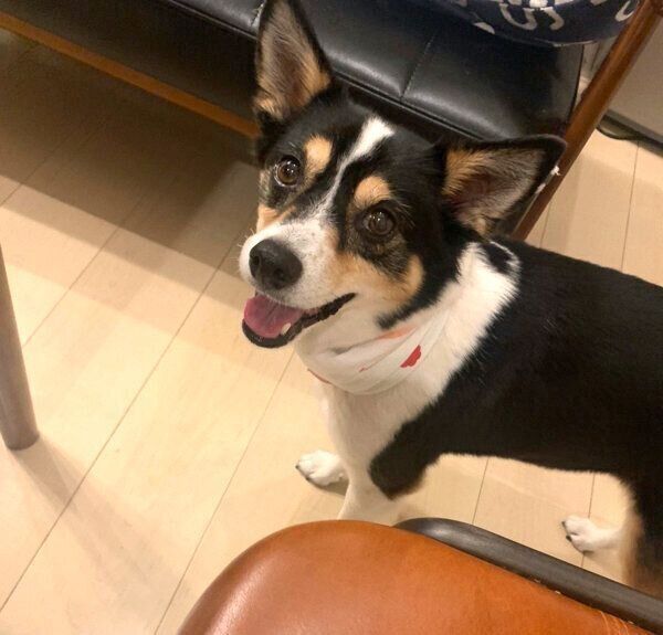 笑顔の乙女ちゃん