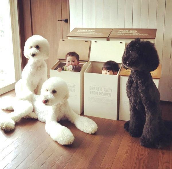 大集合するくぅさん・りっくん・がっくん・まめちゃん・むぎくん