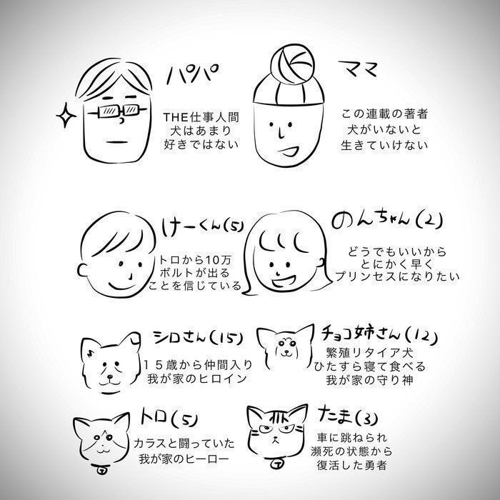 おばあちゃん犬がやってきた