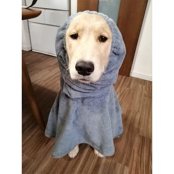 不満そうなナッツちゃん