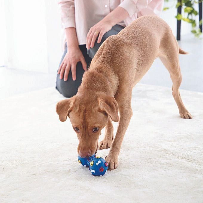 撮影／尾﨑たまき