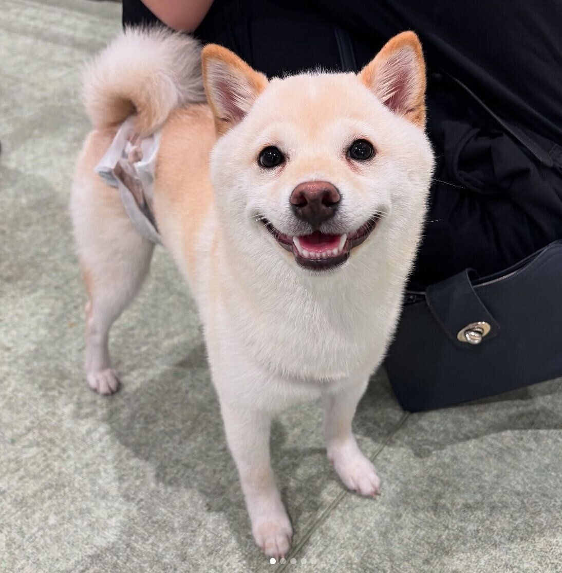 ニコニコ顔のもちおくん