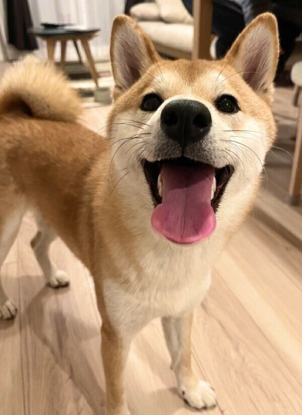 満面の笑みのもなかまるちゃん