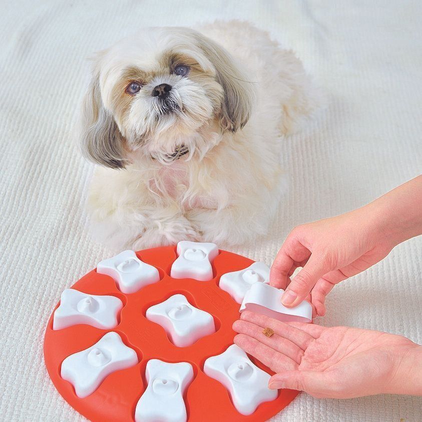 撮影／佐藤正之