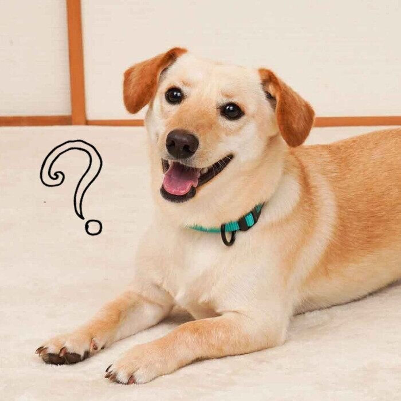 Lpjacj4m8w2ywm Lpjacj4m8w2ywm