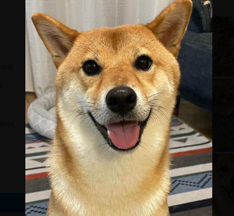 可愛い笑顔を向けるおだしくん