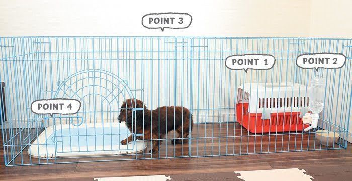 大きめのサークル