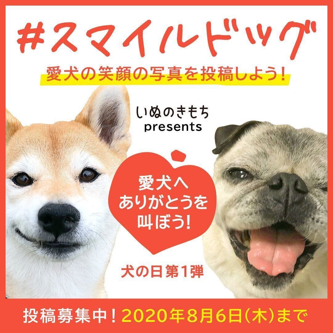 いぬのきもちWEB MAGAZINEでは犬の日企画#スマイルドッグ投稿キャンペーンを実施中!