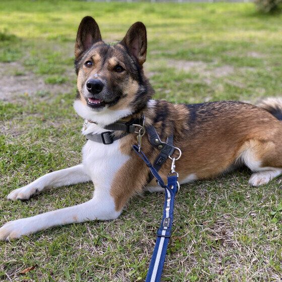 微笑むウニちゃん