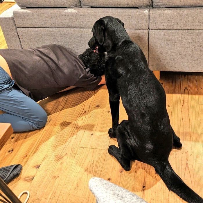 ソファの下に入ったおもちゃを取ってあげる飼い主さんとそれを見守るペプシくん