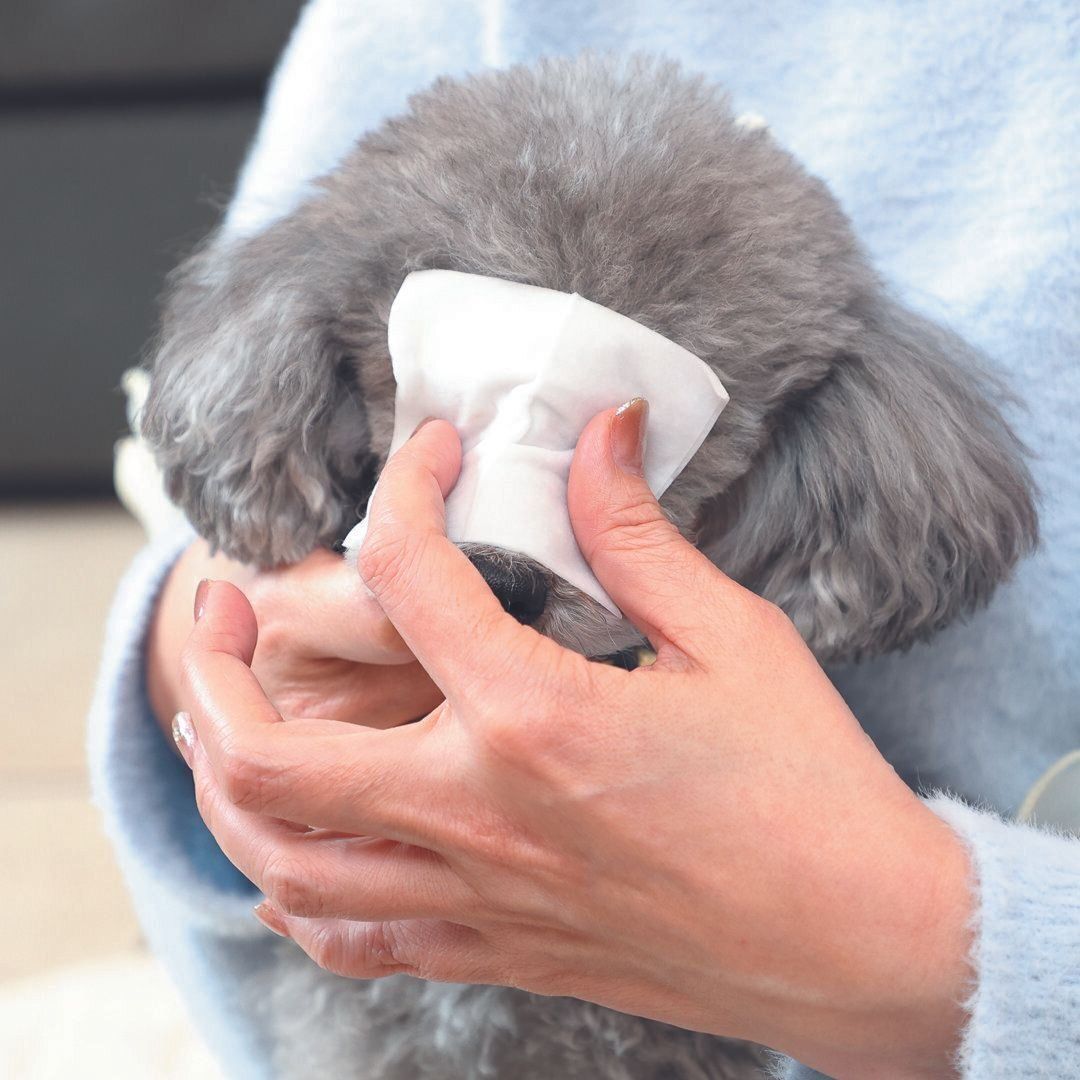 撮影／尾﨑たまき