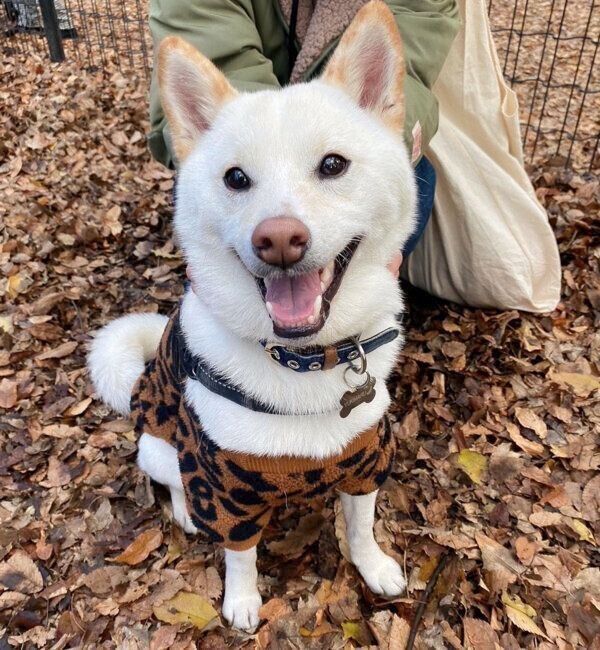 笑顔が可愛い雪丸くん