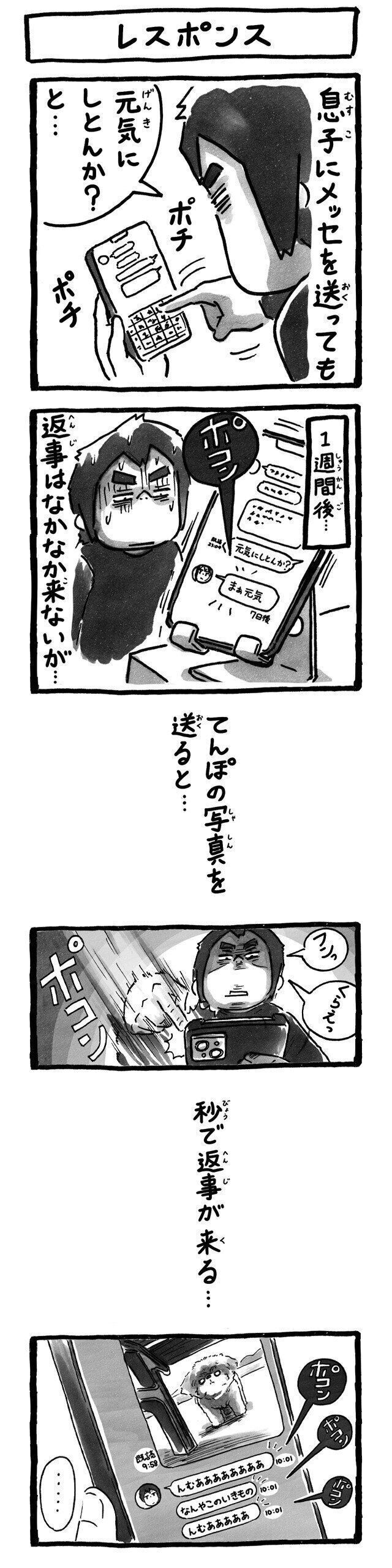 シーズー犬マンガてんぽshihtzu