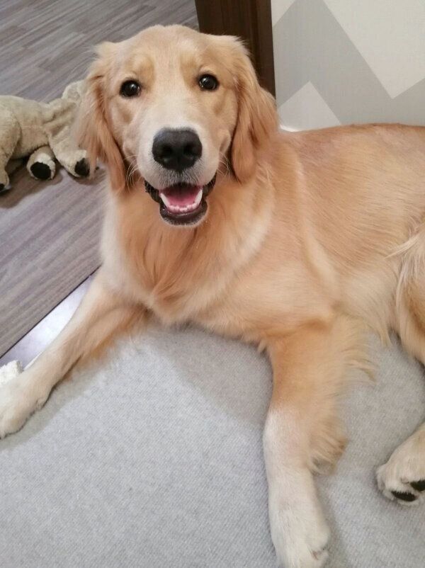 笑顔が可愛いナッツちゃん