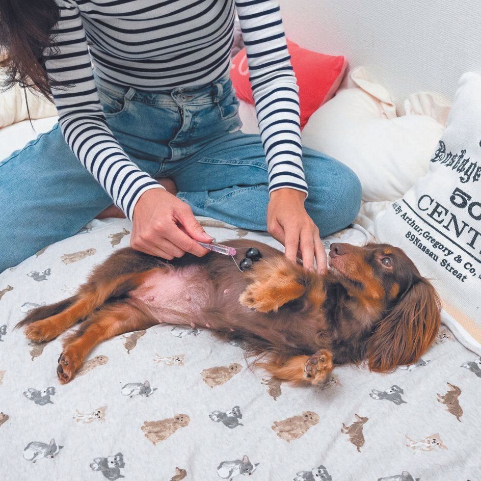 手作りローラーでマッサージ