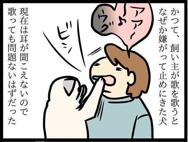 いぬのきもちWEB MAGAZINE『飼い主の歌をなぜそんなに嫌がるのか|連載「パグ犬・めー」vol.43』