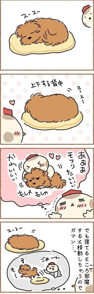 連載「こぐま犬てんすけ」