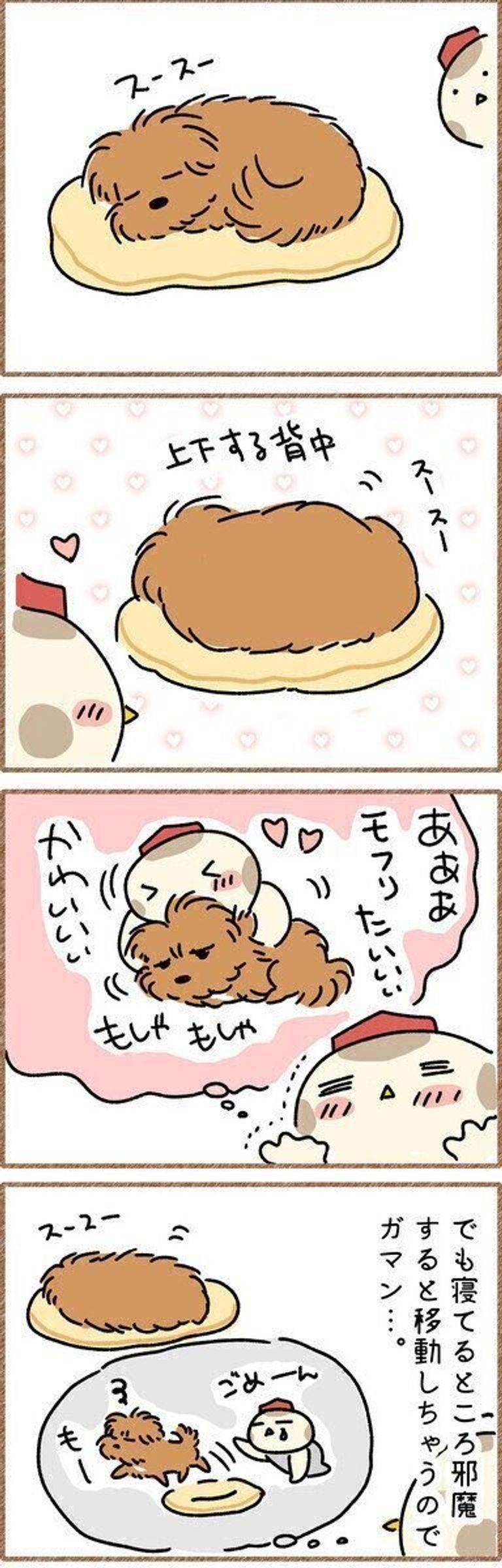 スースー寝息で上下する背中が可愛すぎてモフりたい でも我慢 連載 こぐま犬てんすけ Vol 91 いぬのきもちweb Magazine