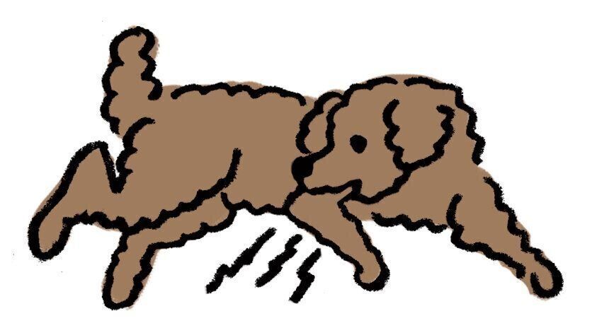 イラスト／オガワナホ