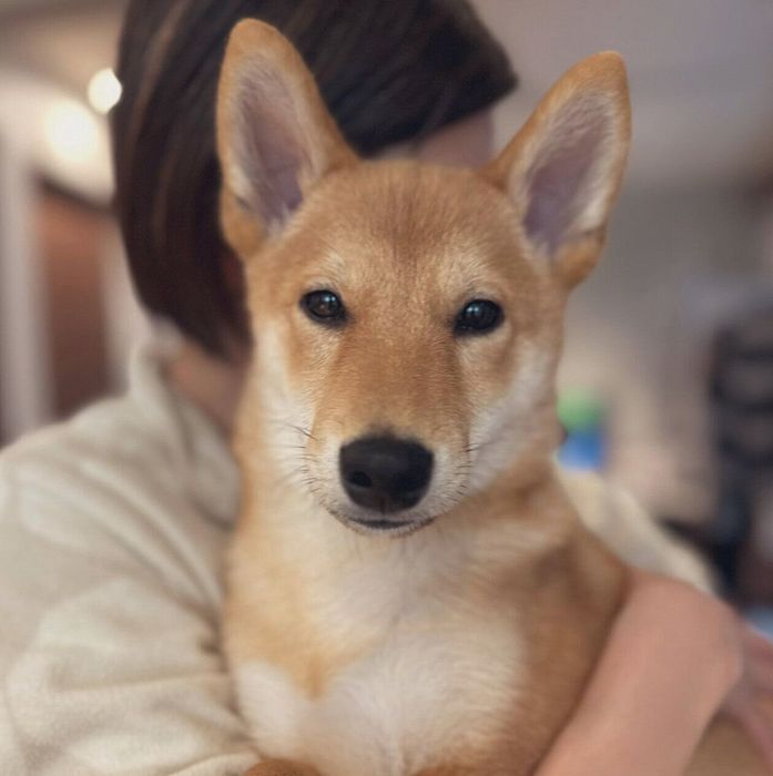 耳が大きい晴くん