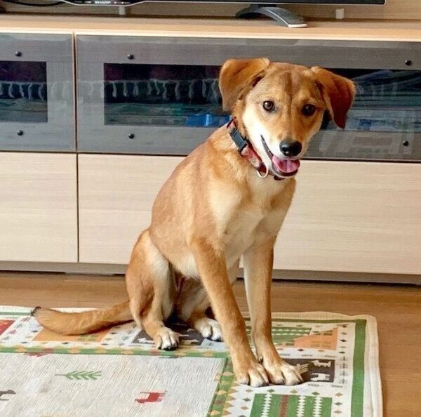 笑顔の華ちゃん