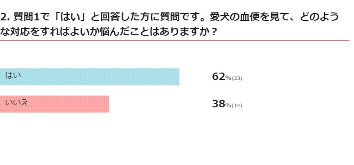 愛犬の血便の対応で悩んだことはありますか？