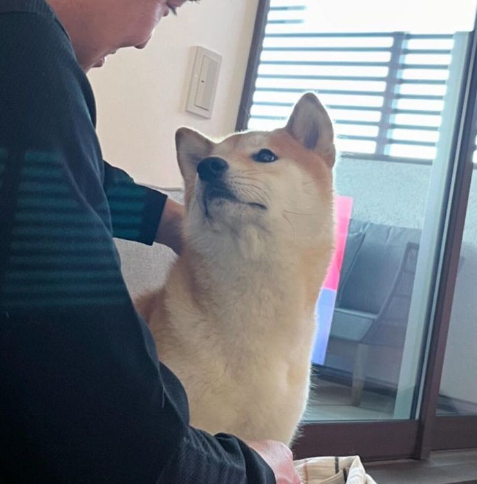 パパさんを見つめる会長さん