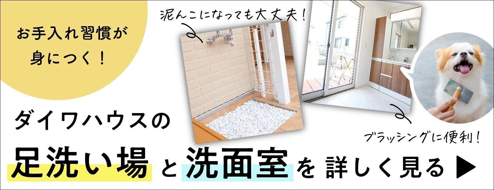 Pr 名もなきペット家事 いぬ編 Vol 4 皮膚 被毛のトラブル対策 家でも上手にできるブラッシングやシャンプーの工夫とは いぬのきもちweb Magazine