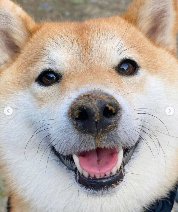 楽しそうな小雨ちゃん