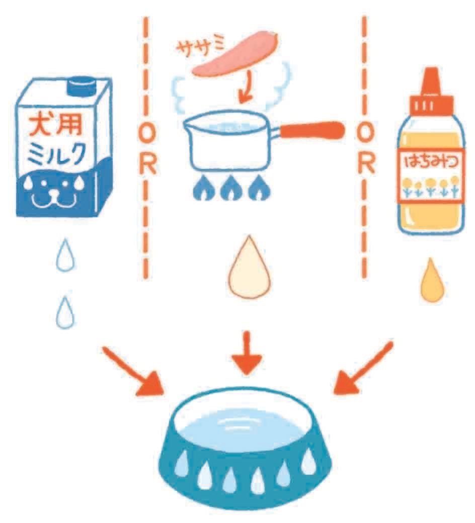イラスト／フジサワミカ