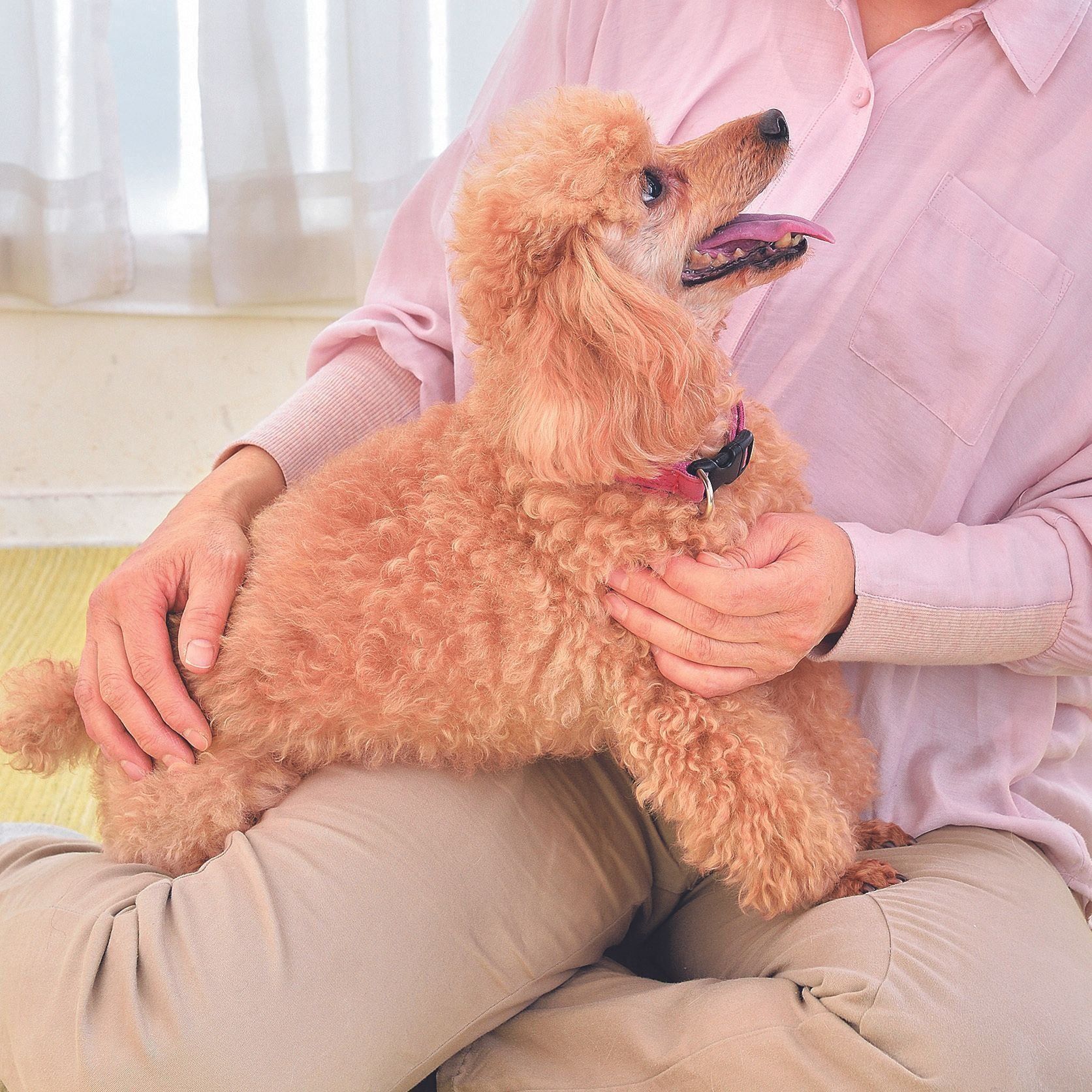 甘えるチャンス！　「下りて」も教えよう