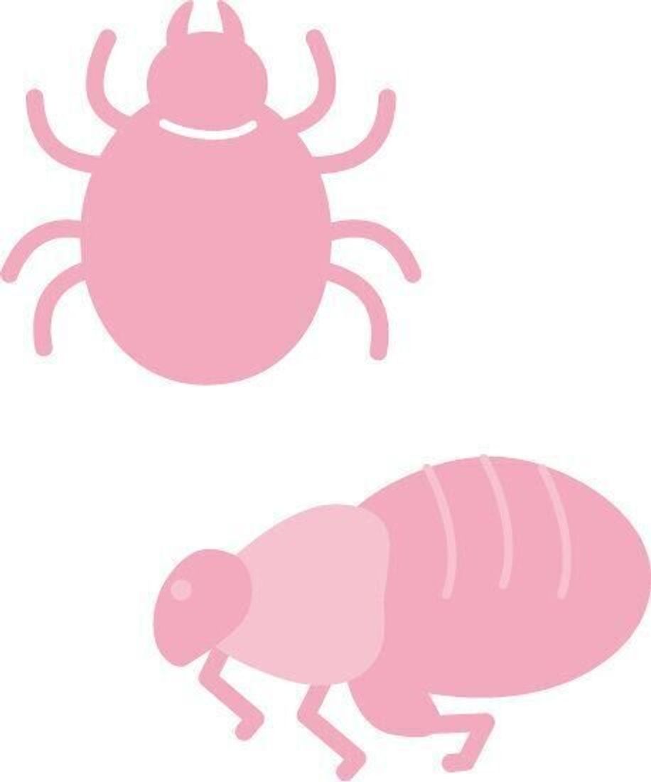 夏 の犬とのお出かけ これだけは注意したい6つの健康トラブル いぬのきもちweb Magazine 夏 の犬とのお出かけ これだけは注意したい6つの健康トラブル いぬのきもちweb Magazine