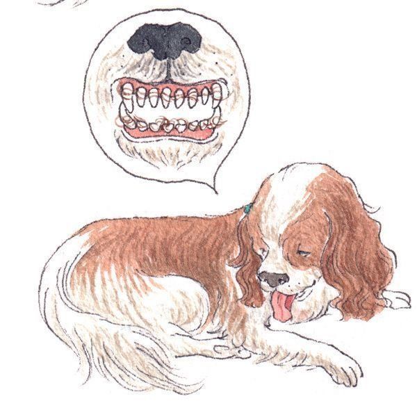 イラスト/フジマツミキ