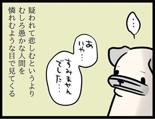 いぬのきもちWEB MAGAZINE『疑いをかけられた犬、何を思う…|連載「パグ犬・めー」vol.40』