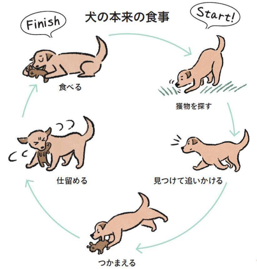 犬の本来の食事