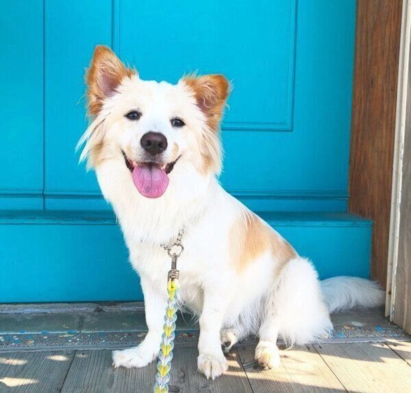 笑顔のたんたんちゃん