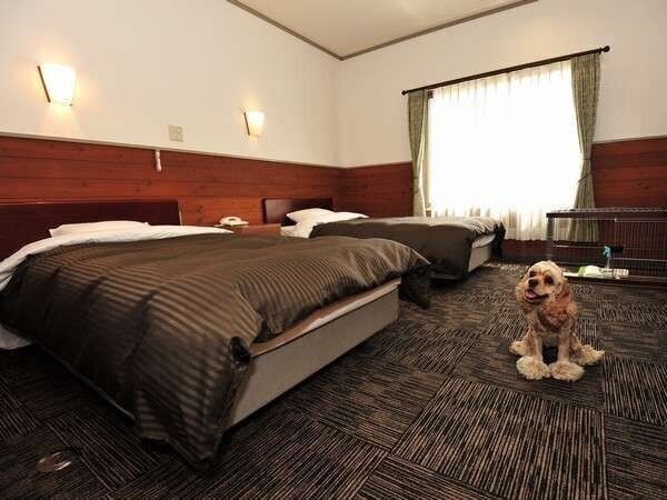 本館の客室でお座りをする犬