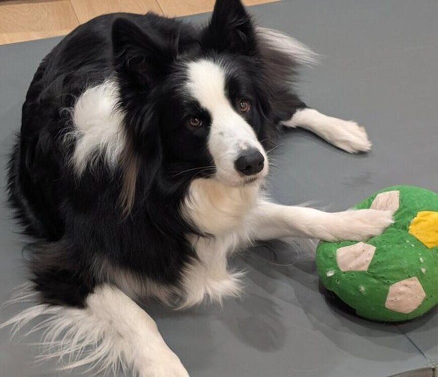 ボールを抱えるルークくん